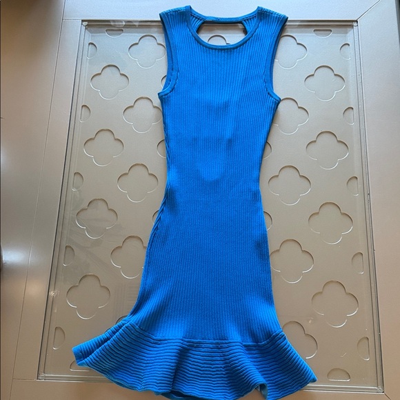 PARKER Lynn Ruffle Skirt Knit Dress Women's Size XS Blue - Picture 11 of 16